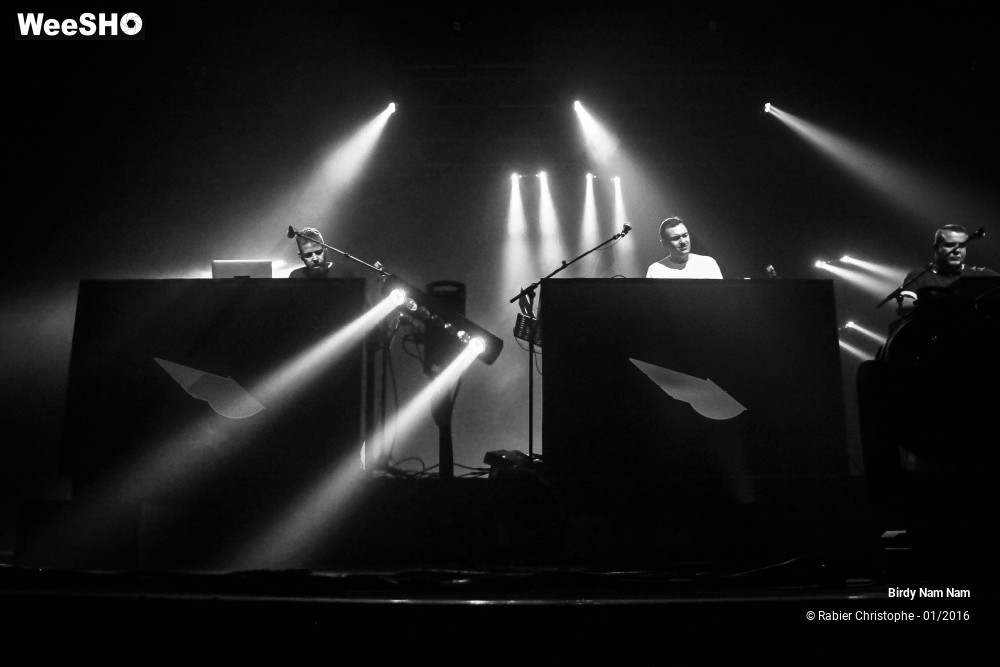 12/24 photos du spectacle Birdy Nam Nam