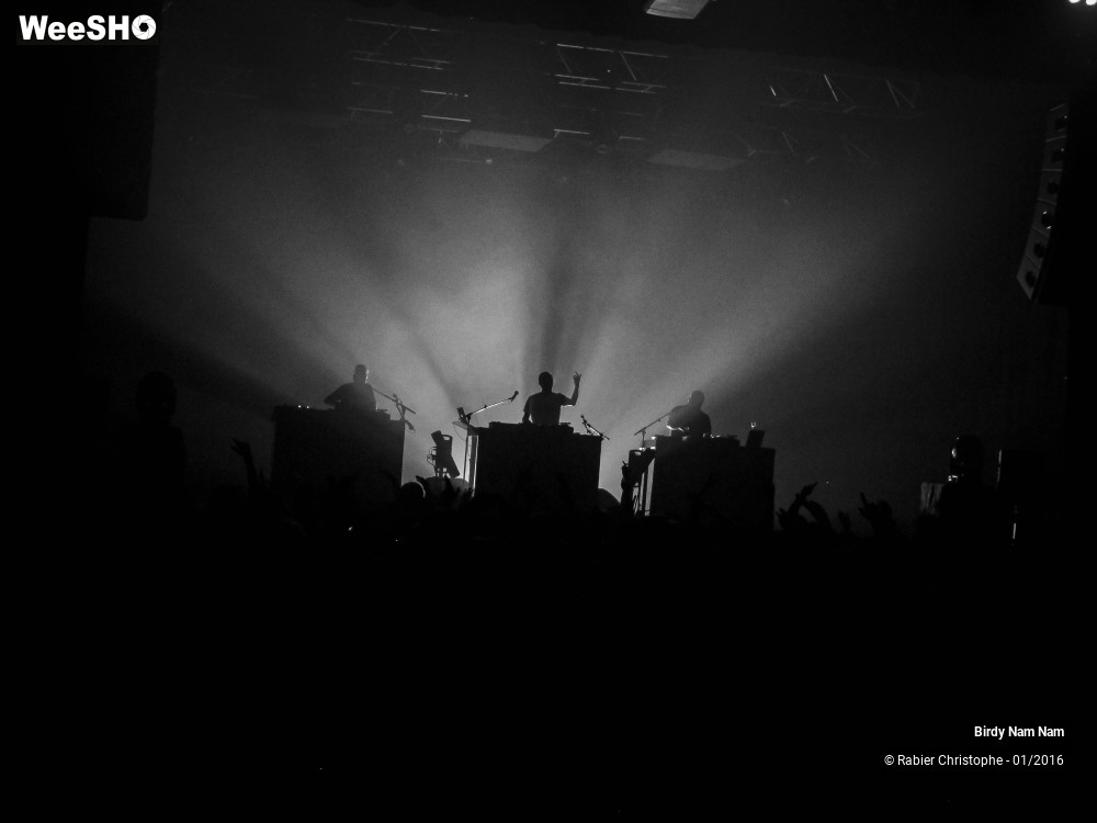 17/24 photos du spectacle Birdy Nam Nam