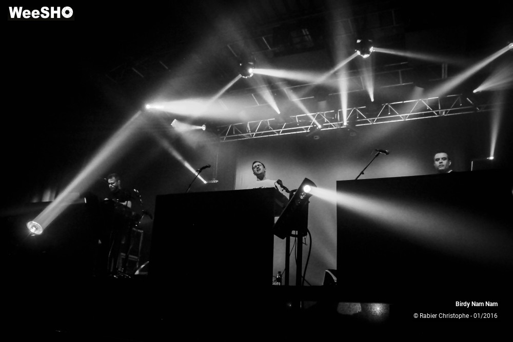 20/24 photos du spectacle Birdy Nam Nam