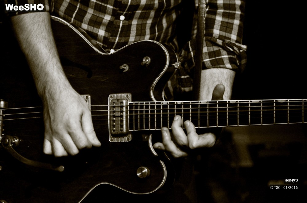 3/20 photos du spectacle Honey's