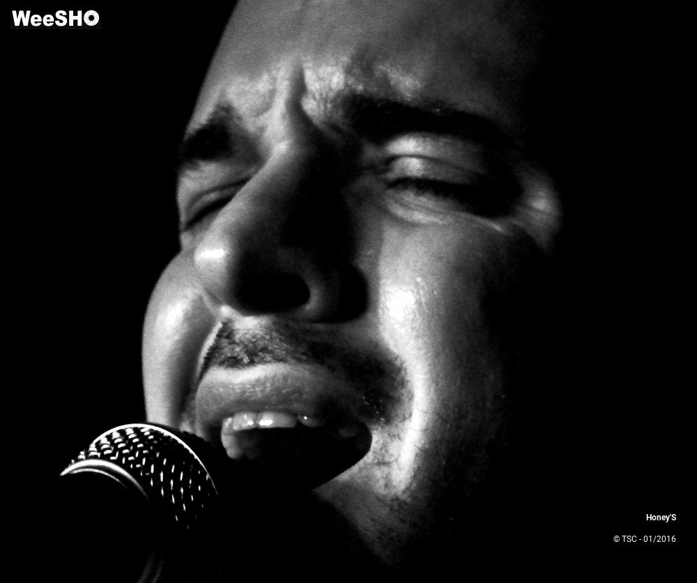 11/20 photos du spectacle Honey's