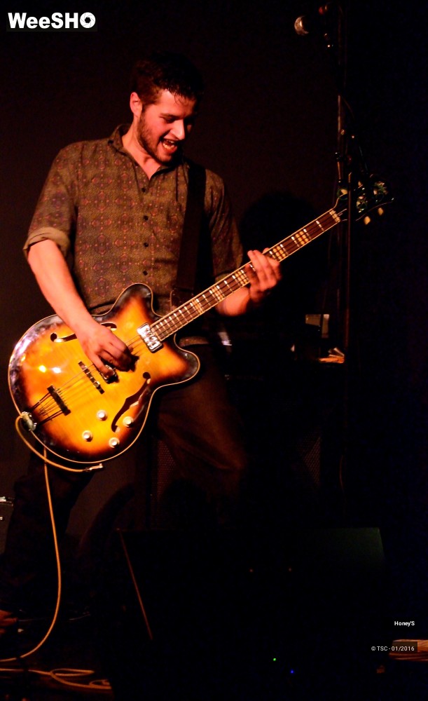 13/20 photos du spectacle Honey's