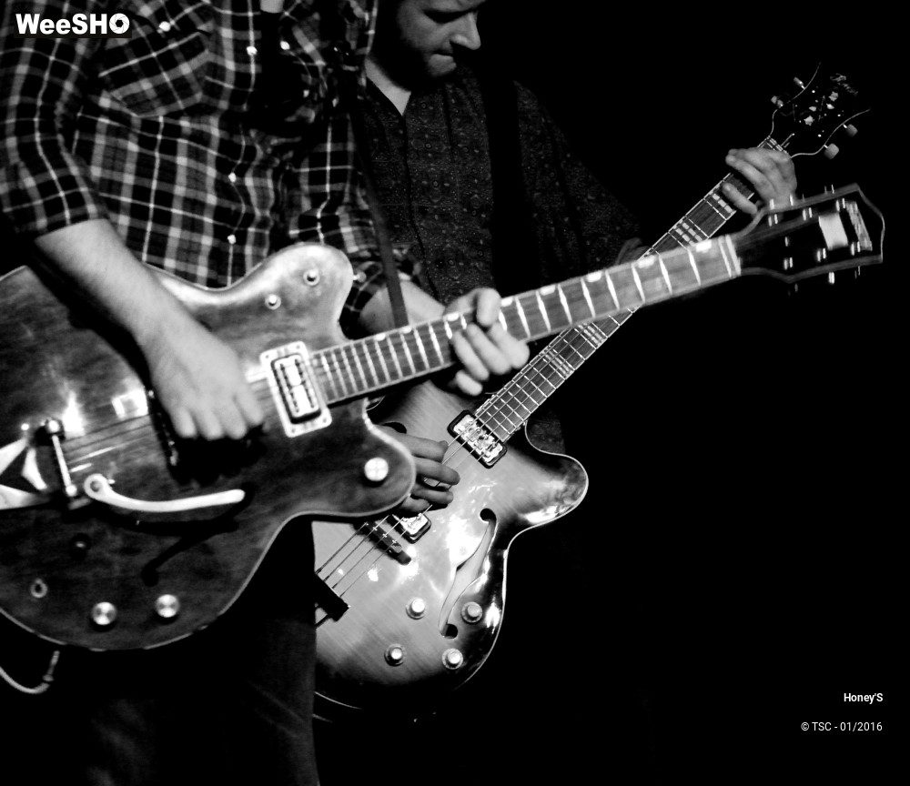 14/20 photos du spectacle Honey's