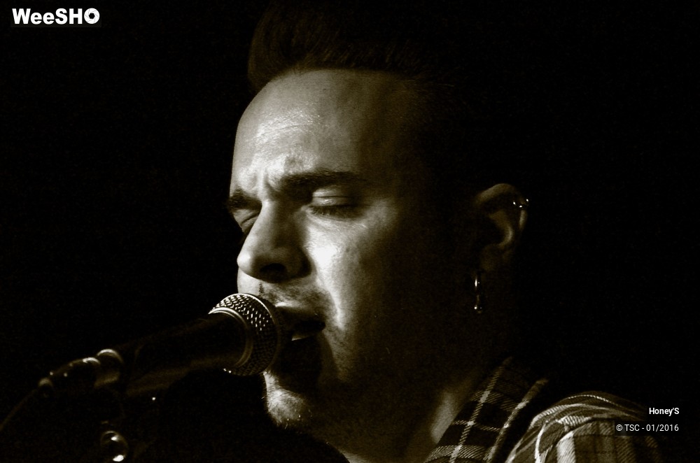 17/20 photos du spectacle Honey's