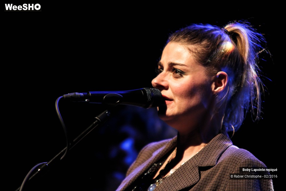 17/44 photos du spectacle Boby Lapointe repiqué