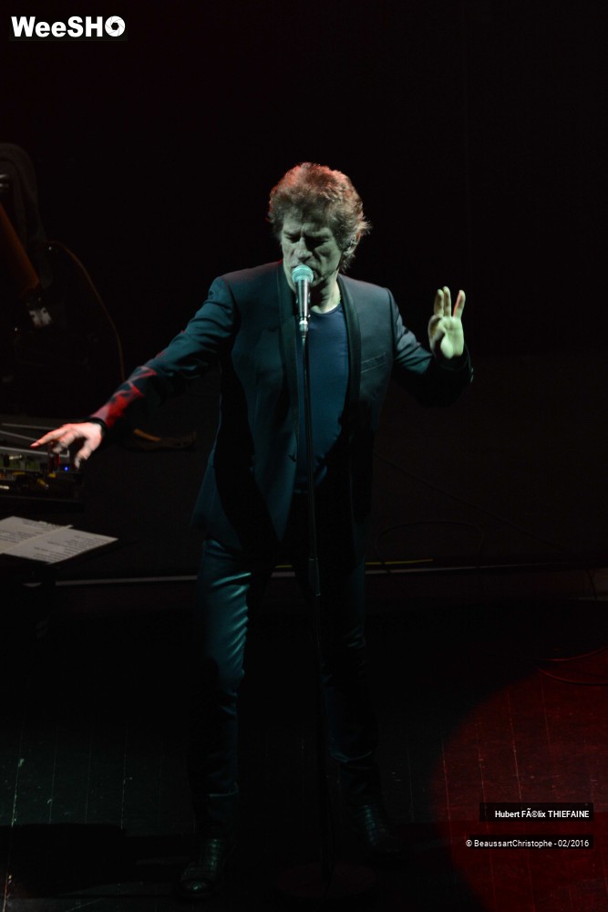 17/39 photos du spectacle Hubert-Félix Thiéfaine