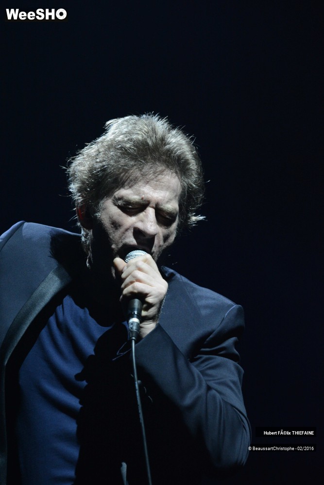 33/39 photos du spectacle Hubert-Félix Thiéfaine