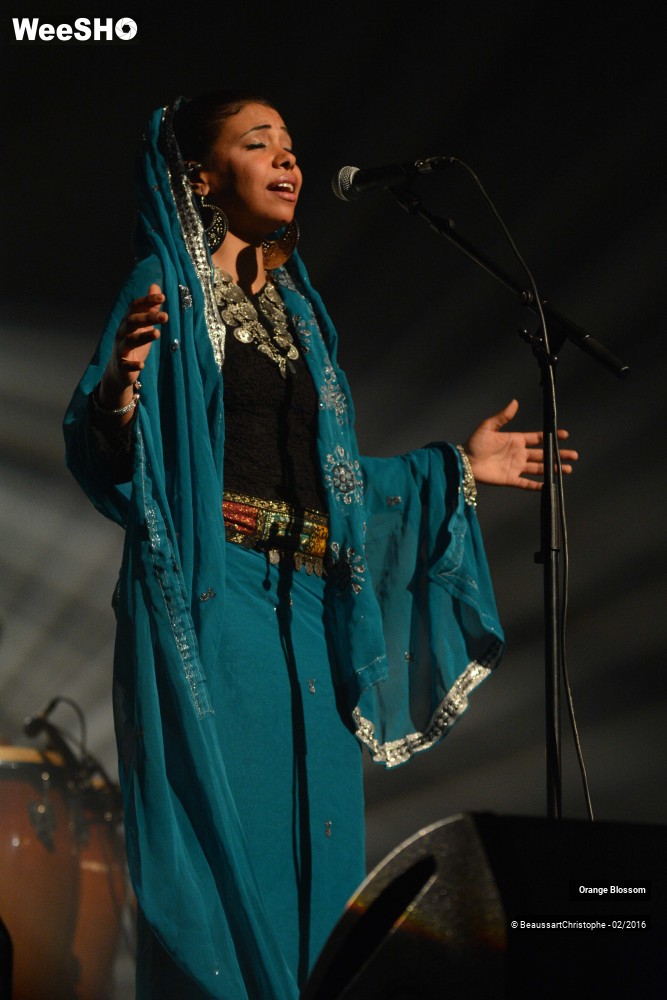 1/37 photos du spectacle Orange Blossom