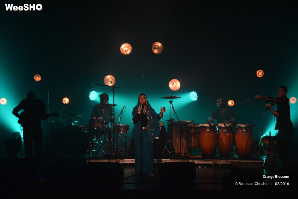 2/37 photos du spectacle Orange Blossom