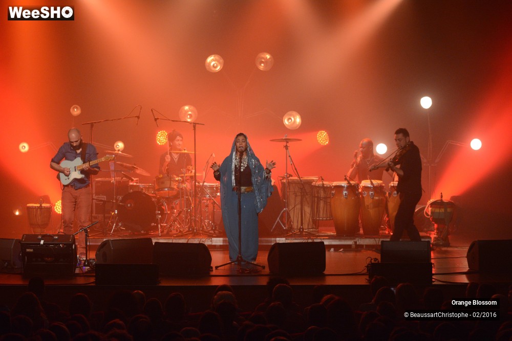 5/37 photos du spectacle Orange Blossom