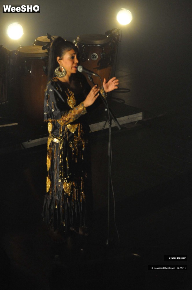 7/37 photos du spectacle Orange Blossom
