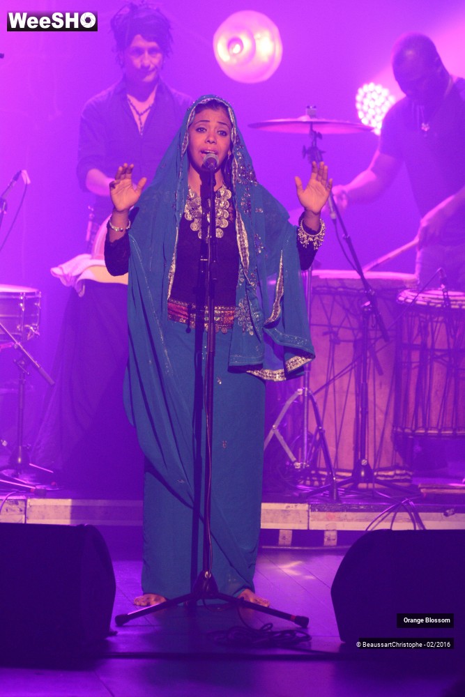 8/37 photos du spectacle Orange Blossom