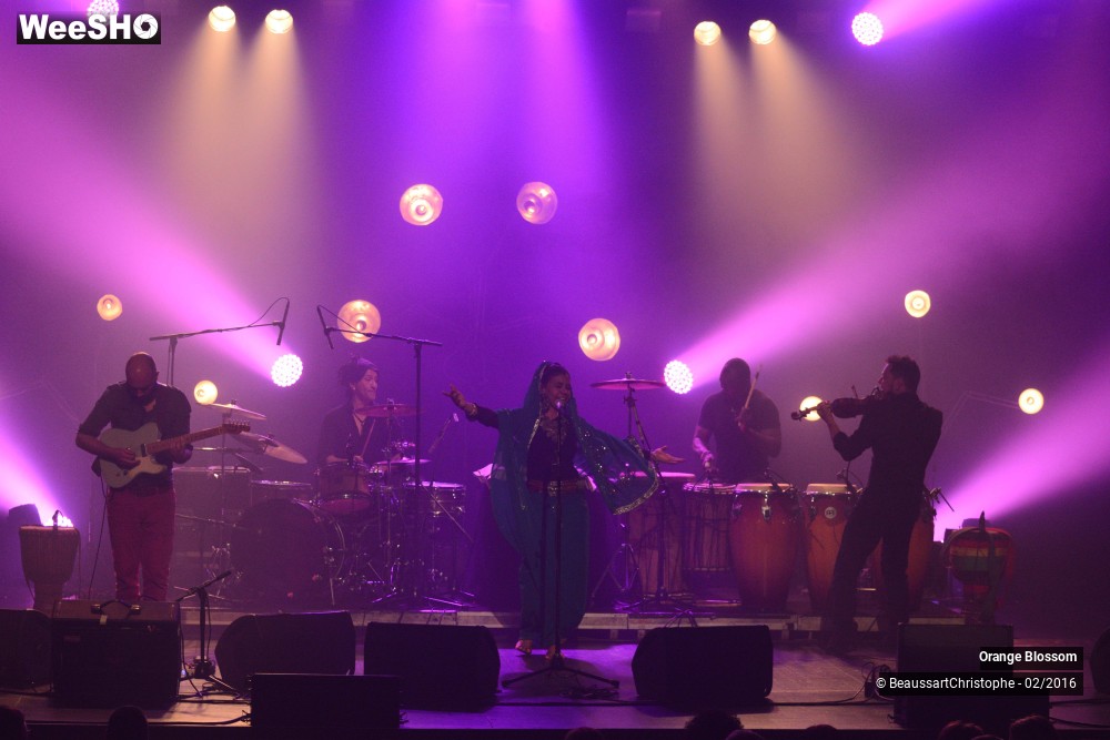 9/37 photos du spectacle Orange Blossom
