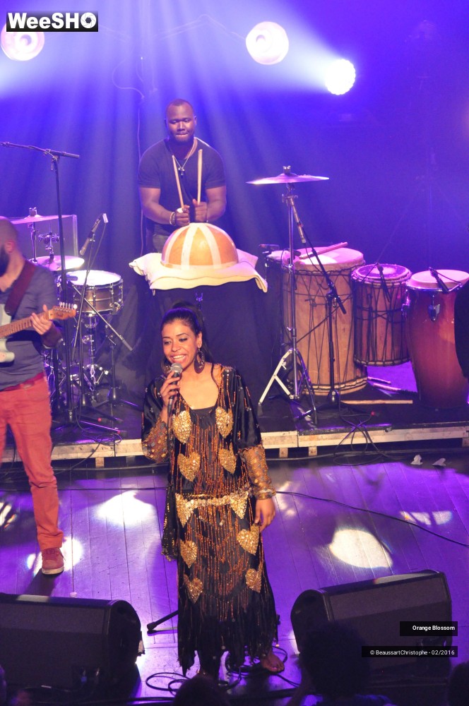 10/37 photos du spectacle Orange Blossom