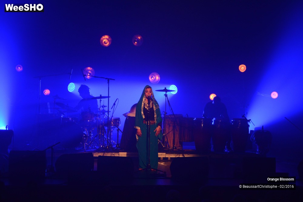 11/37 photos du spectacle Orange Blossom