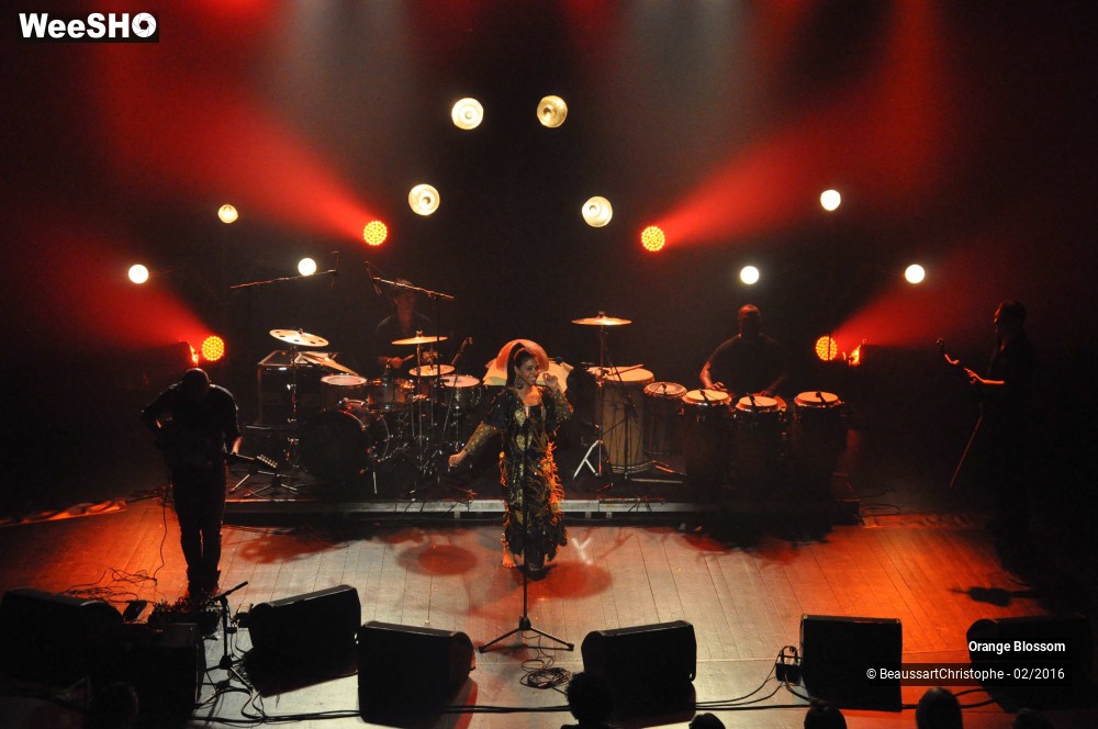 14/37 photos du spectacle Orange Blossom
