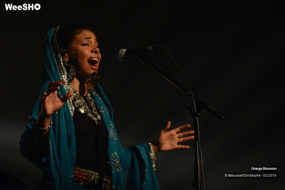 17/37 photos du spectacle Orange Blossom