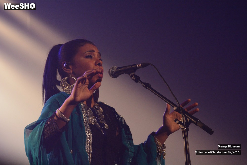 21/37 photos du spectacle Orange Blossom