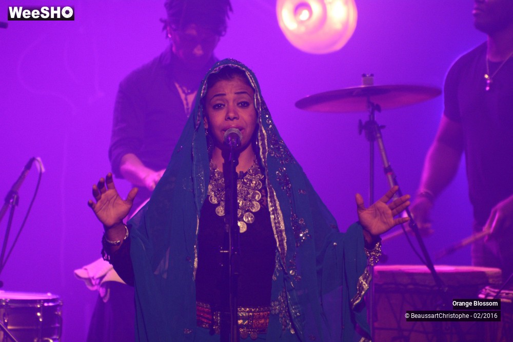 23/37 photos du spectacle Orange Blossom