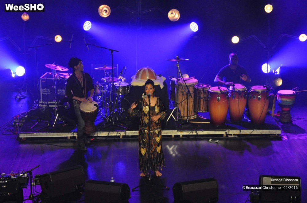 24/37 photos du spectacle Orange Blossom
