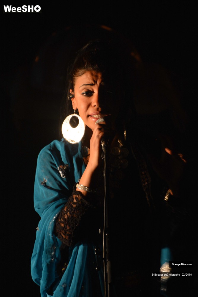 28/37 photos du spectacle Orange Blossom