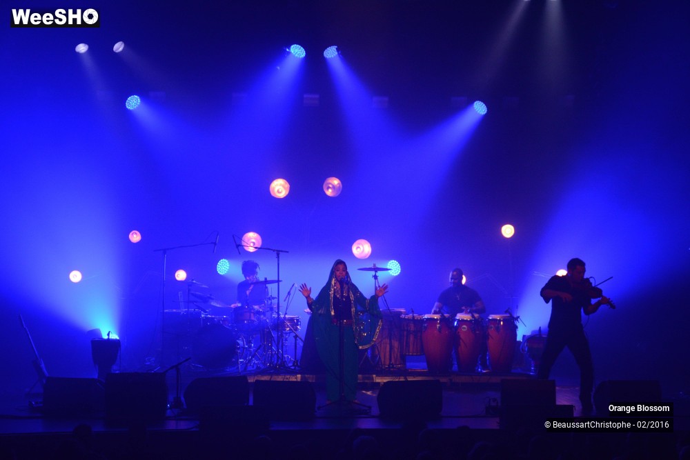 31/37 photos du spectacle Orange Blossom