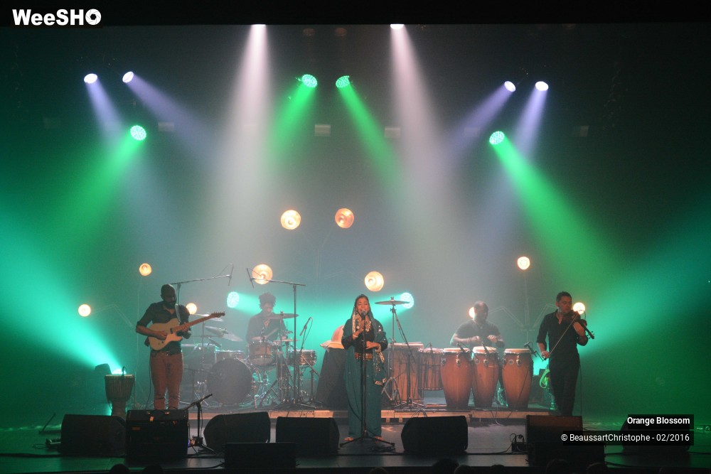 34/37 photos du spectacle Orange Blossom