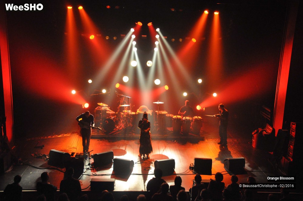 35/37 photos du spectacle Orange Blossom