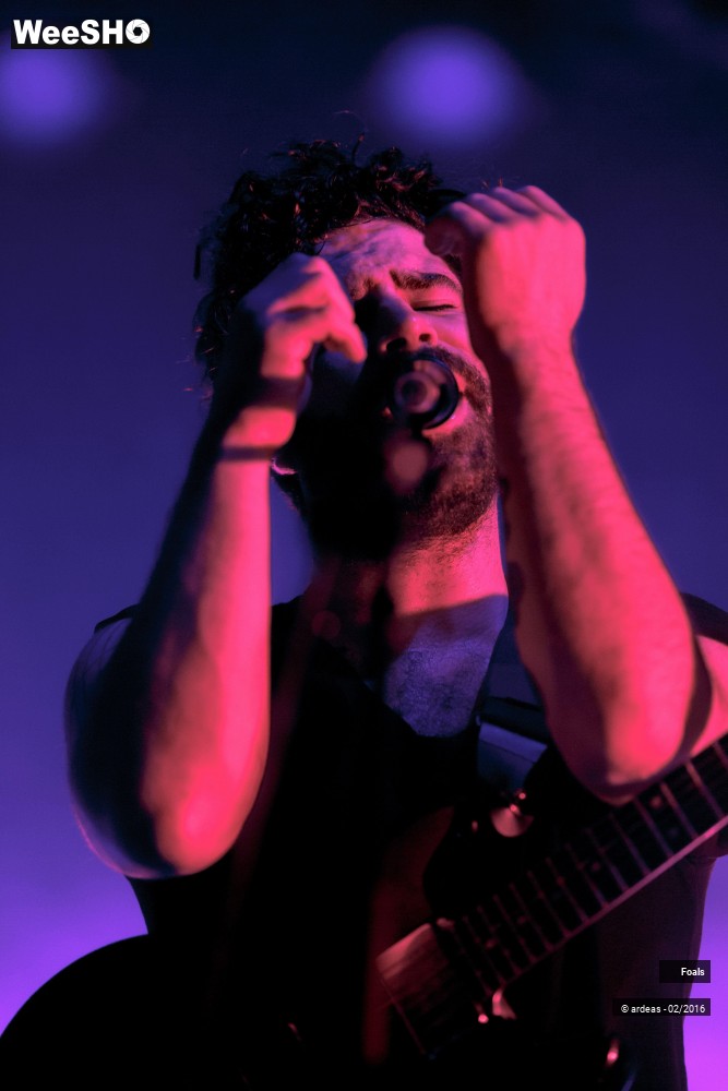 18/39 photos du spectacle Foals