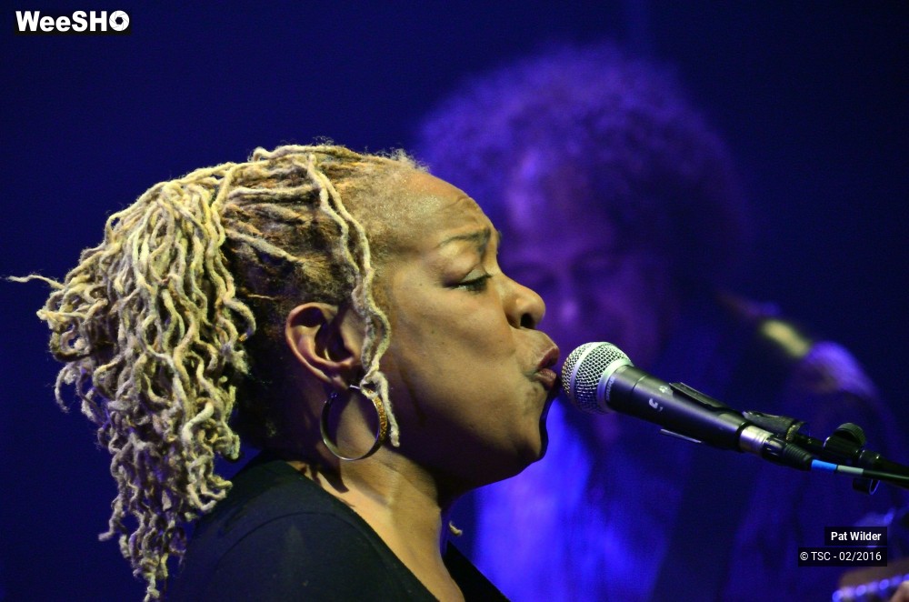 6/29 photos du spectacle Pat  Wilder Band