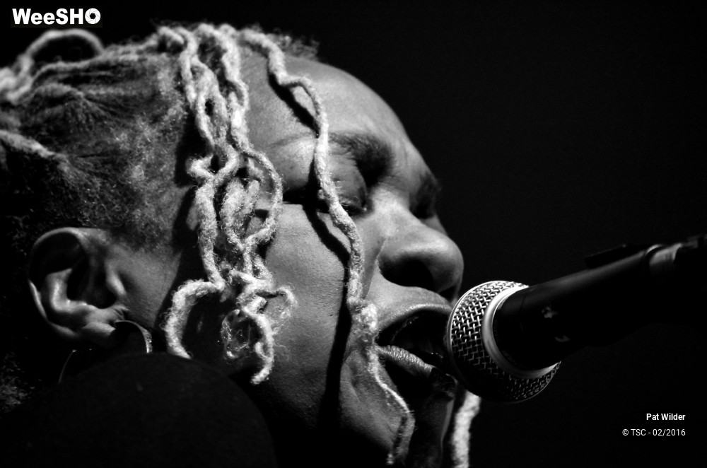 8/29 photos du spectacle Pat  Wilder Band