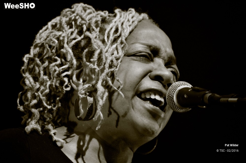 11/29 photos du spectacle Pat  Wilder Band