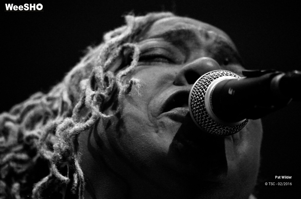 21/29 photos du spectacle Pat  Wilder Band