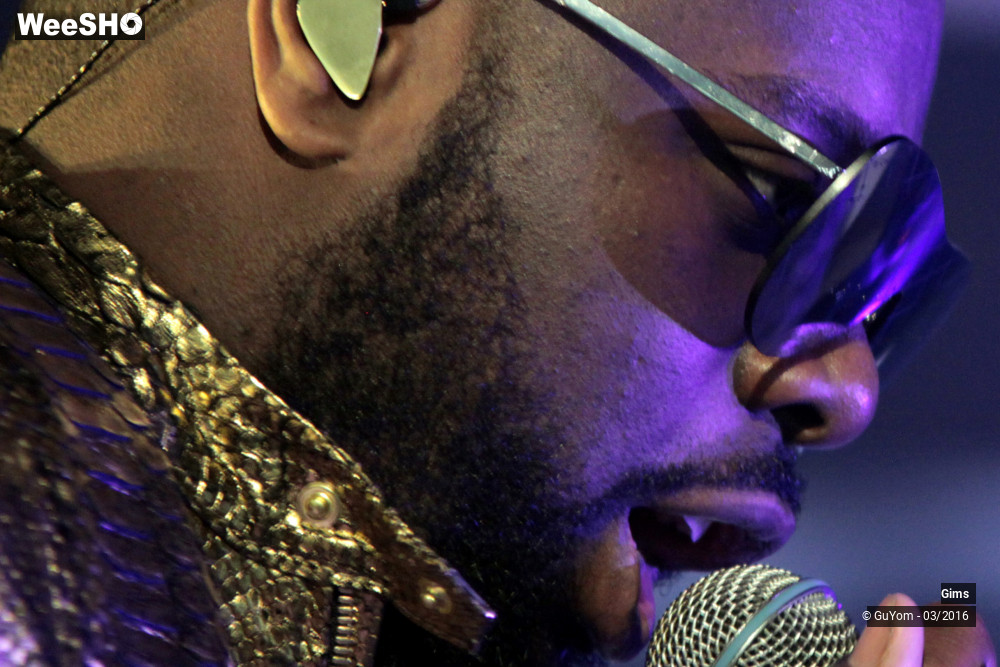 18/38 photos du spectacle Gims