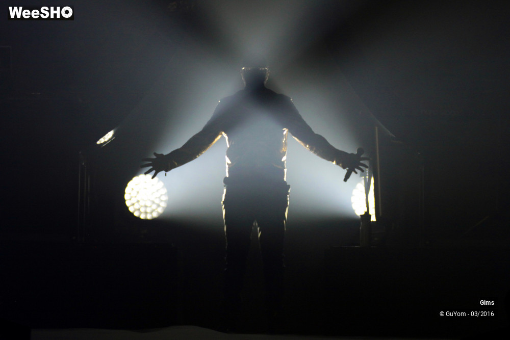 26/38 photos du spectacle Gims