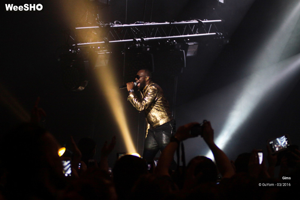 27/38 photos du spectacle Gims