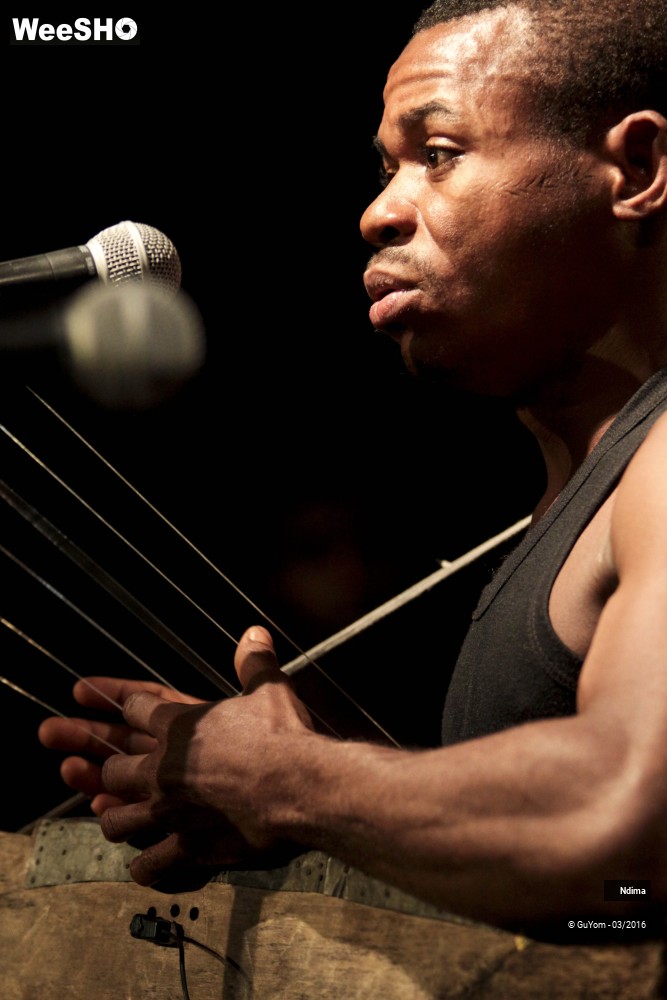 16/49 photos du spectacle Ndima