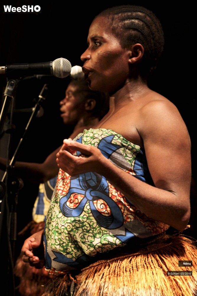 39/49 photos du spectacle Ndima