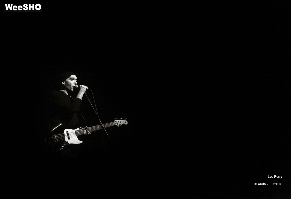 11/14 photos du spectacle Lee Scratch Perry