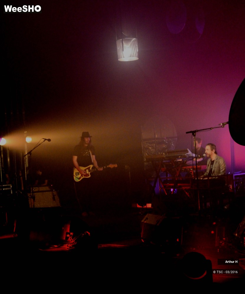 3/9 photos du spectacle Arthur H