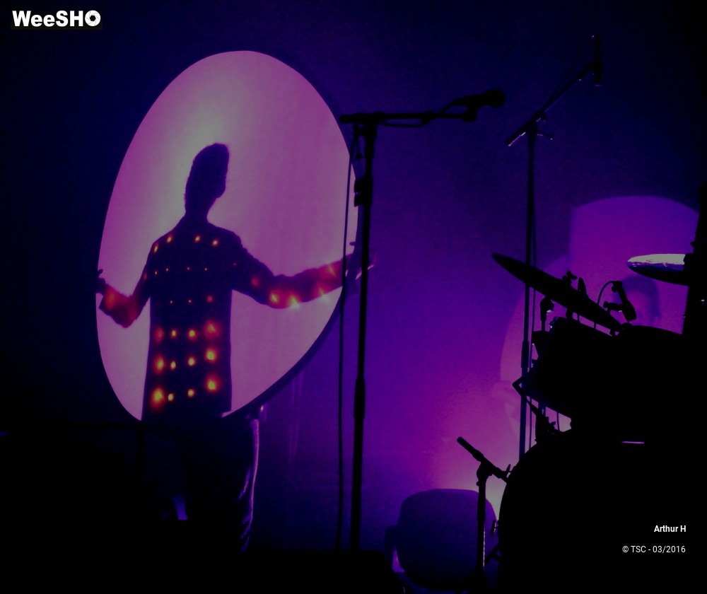 8/9 photos du spectacle Arthur H