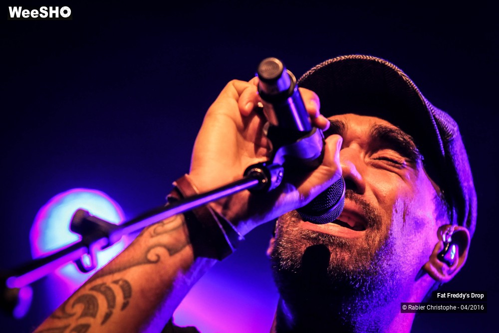 1/31 photos du spectacle Fat Freddy's Drop