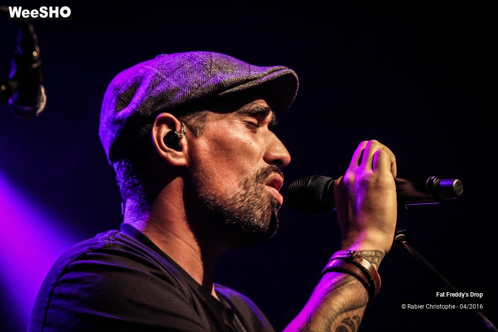 11/31 photos du spectacle Fat Freddy's Drop
