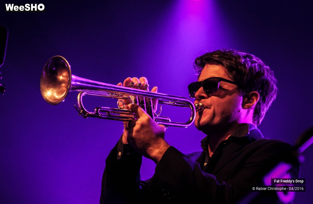 14/31 photos du spectacle Fat Freddy's Drop