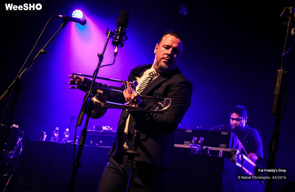 15/31 photos du spectacle Fat Freddy's Drop