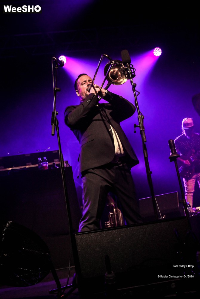 16/31 photos du spectacle Fat Freddy's Drop