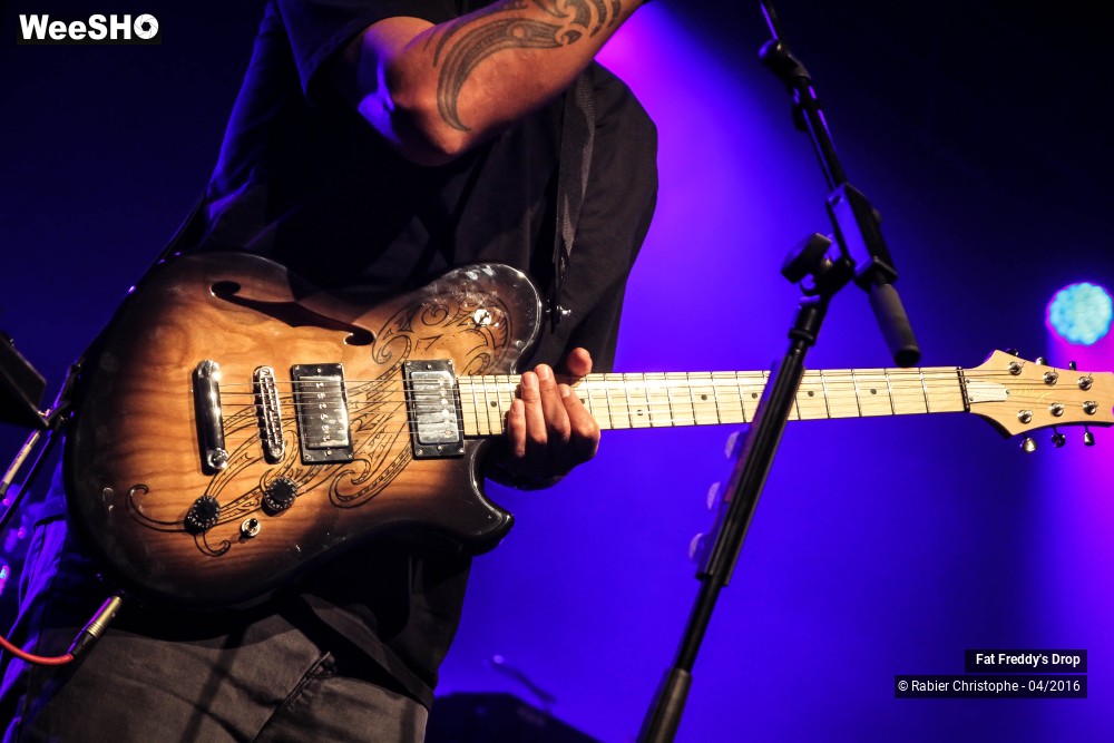 17/31 photos du spectacle Fat Freddy's Drop