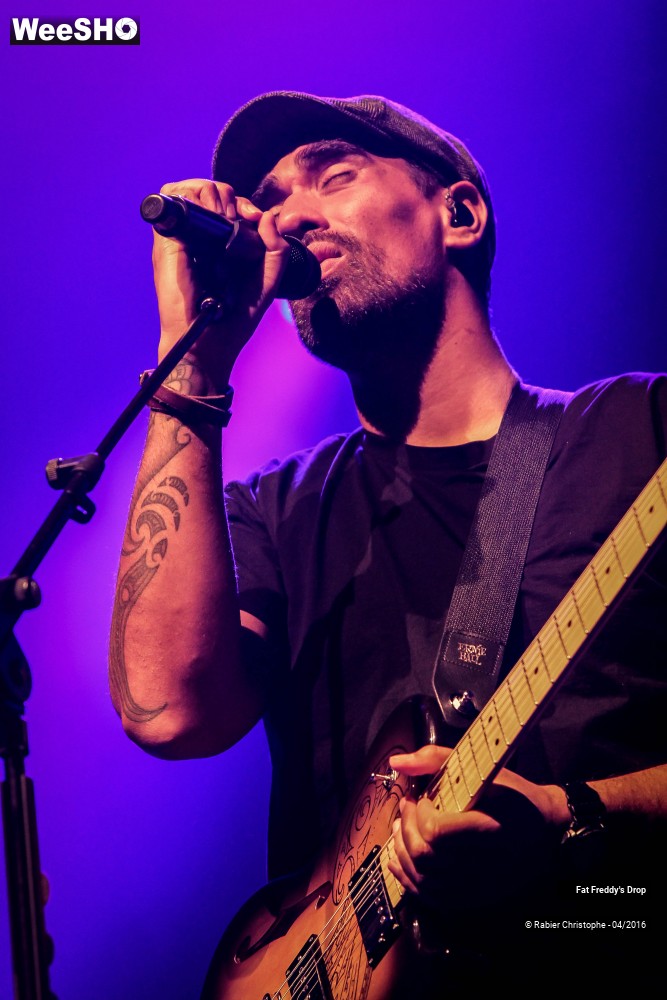 19/31 photos du spectacle Fat Freddy's Drop
