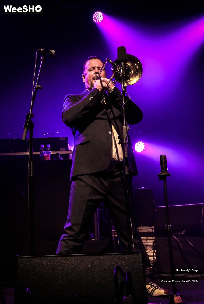 24/31 photos du spectacle Fat Freddy's Drop