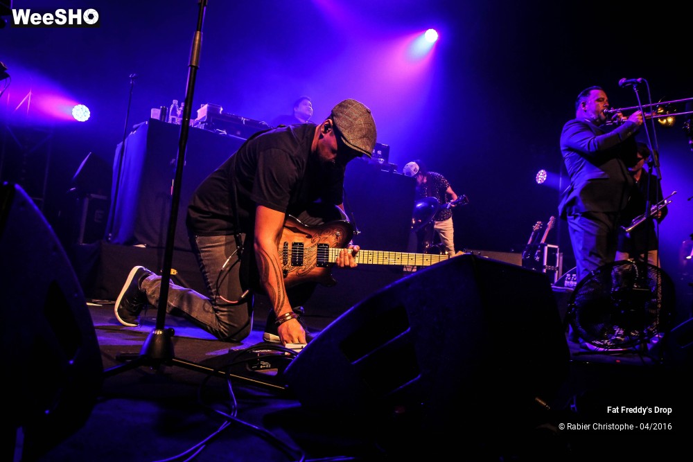 25/31 photos du spectacle Fat Freddy's Drop